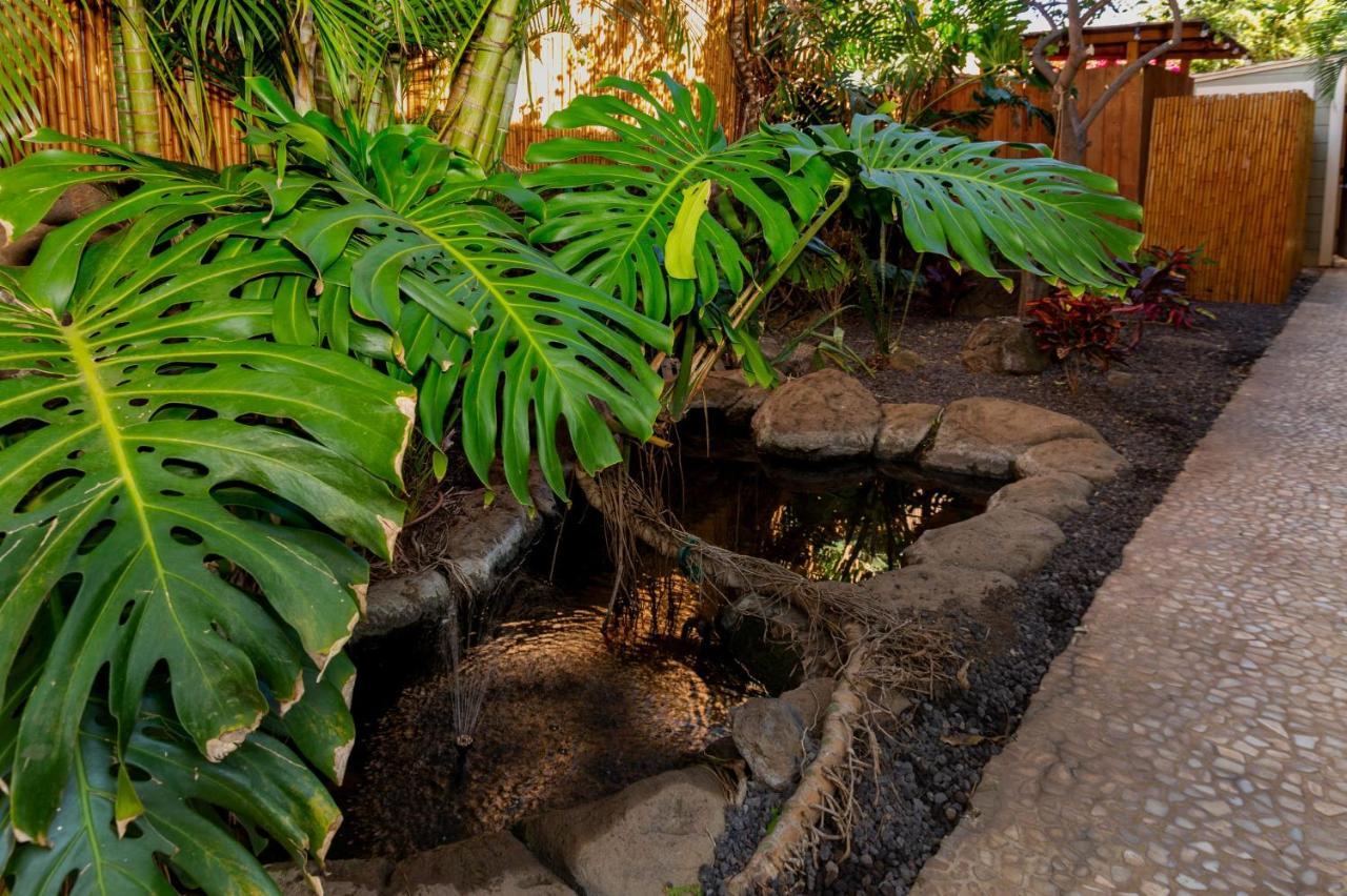 Studio With Mini Kitchen, Pool And Bbq, Pre-Renovation Summer Sale Kihei Bagian luar foto