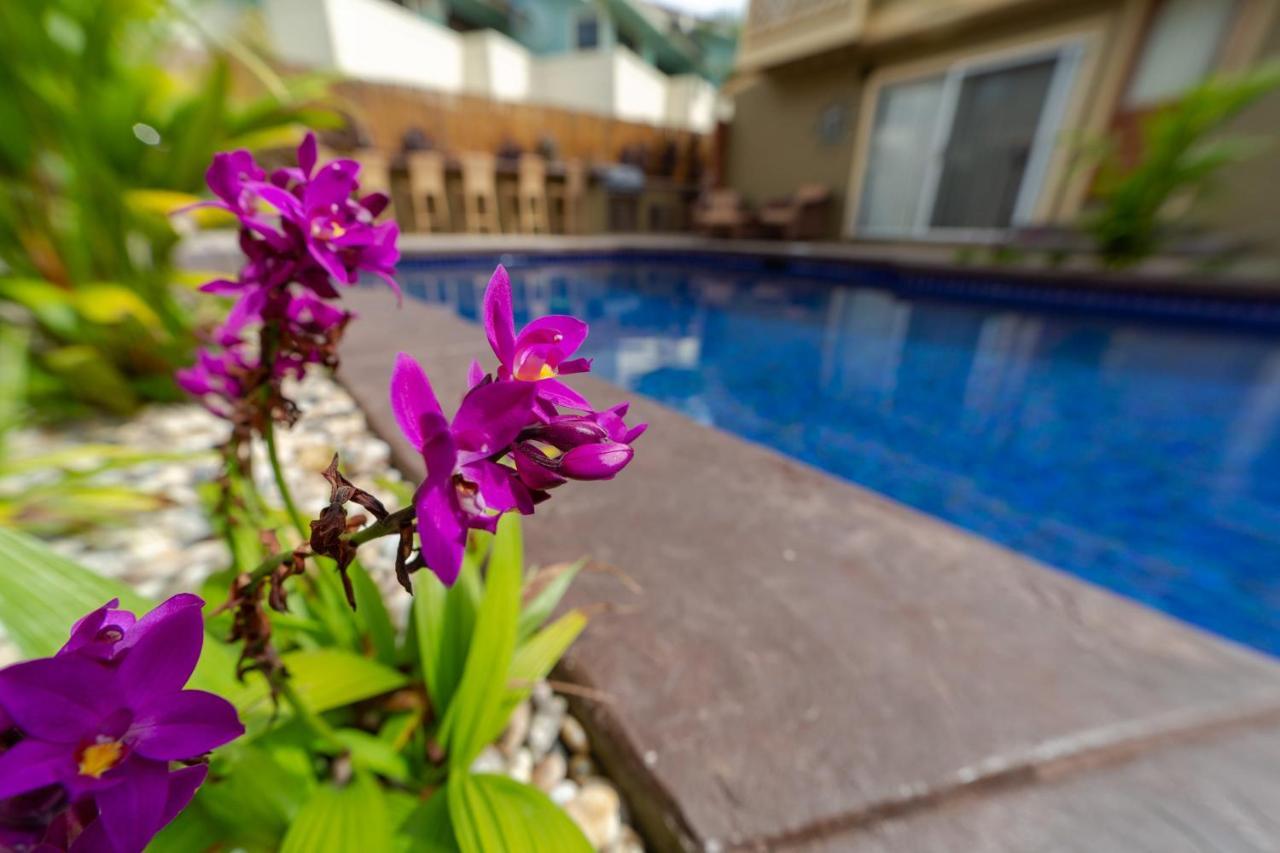 Studio With Mini Kitchen, Pool And Bbq, Pre-Renovation Summer Sale Kihei Bagian luar foto